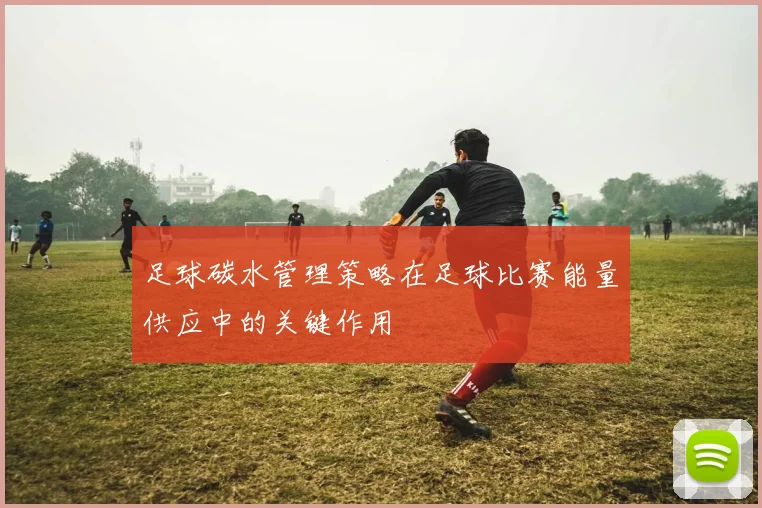 足球碳水管理策略在足球比赛能量供应中的关键作用