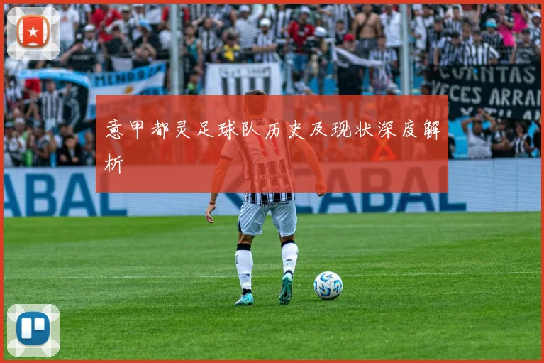 意甲都灵足球队历史及现状深度解析