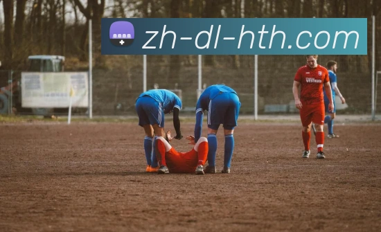 App Interface Preview